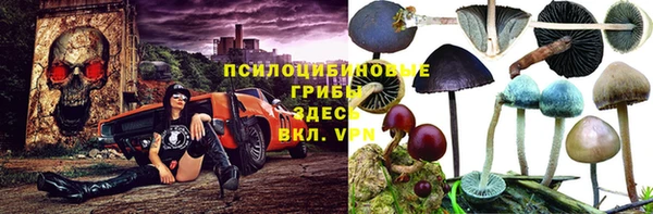 бошки Алексин