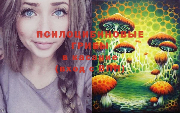 прущая мука Алзамай