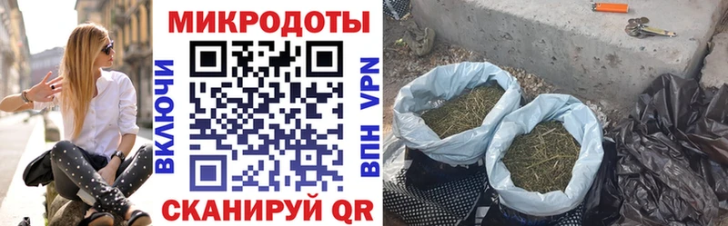 продажа наркотиков  Северодвинск  kraken зеркало  Псилоцибиновые грибы Psilocybine cubensis 