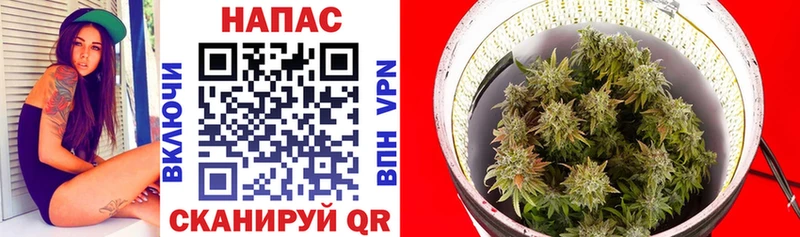 Бошки марихуана Ganja  Северодвинск 